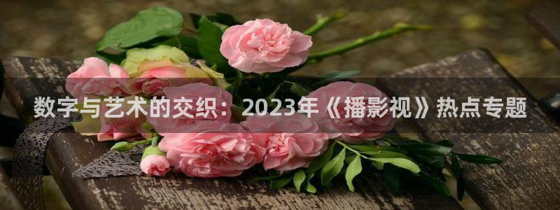 欧美亚洲高清不卡