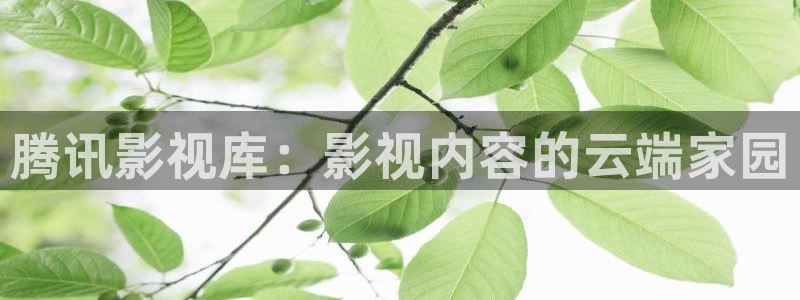 不卡在线电影网