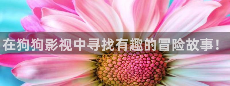 不卡高清日本青青视频