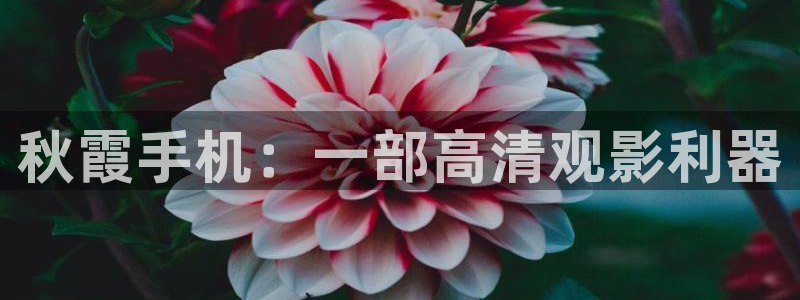 不卡一级电影