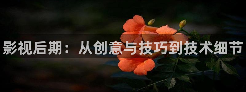 中文字幕手机在线观看视频不卡
