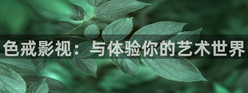 在线视频不卡国产