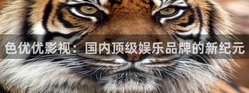 高清不卡三级