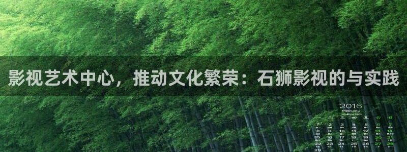 日韩视频一二三不卡