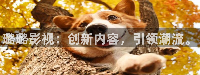 日本不卡免费高清在线