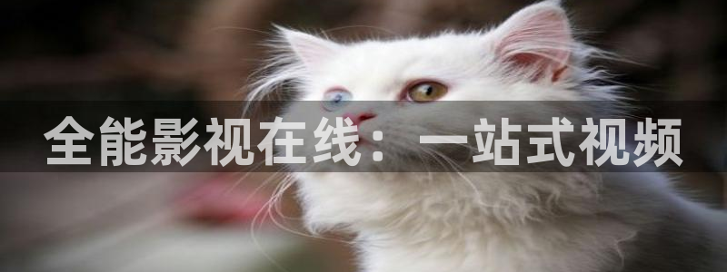 不卡的av影片