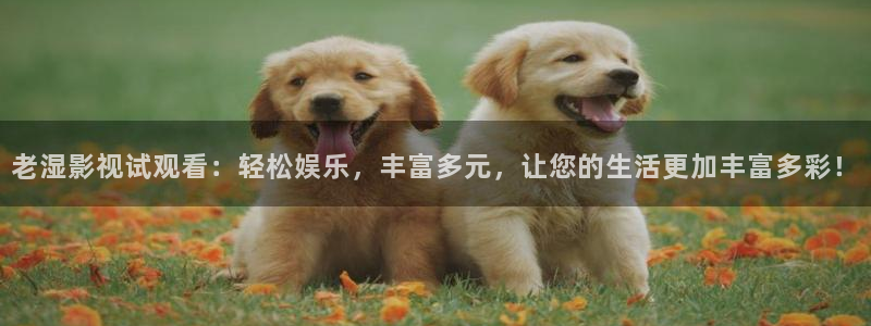 毛片在线观看免费不卡