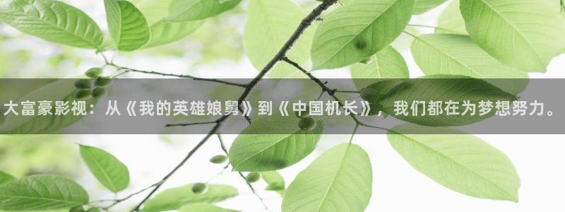 免费高清视频不卡