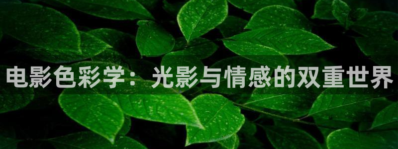八戒电影我不卡