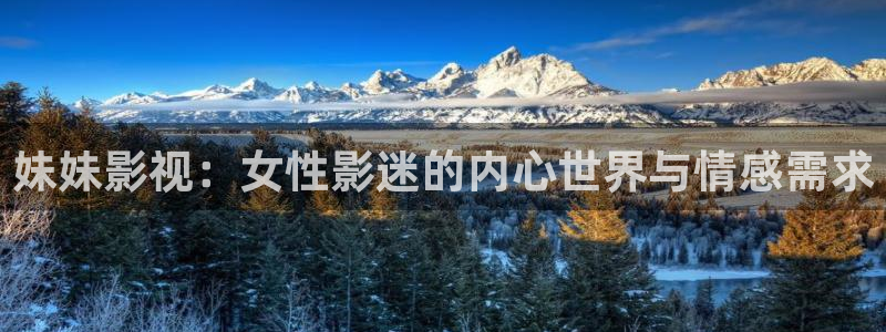 神马不卡视频在线观看