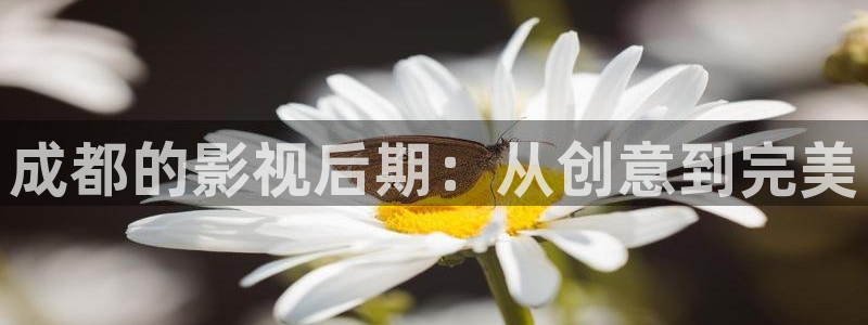 手机免费观看视频在线不卡