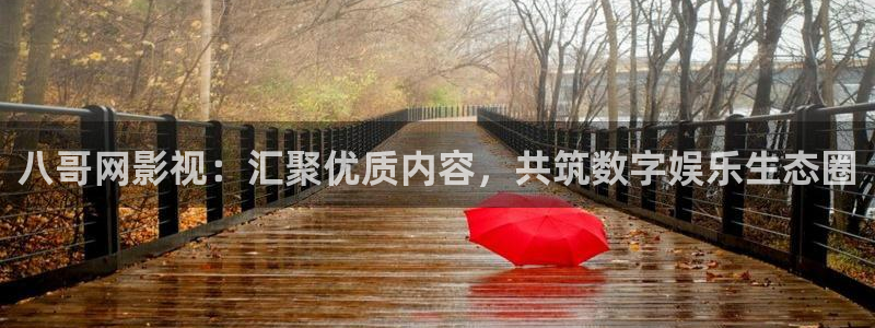 在线高清日本不卡网站