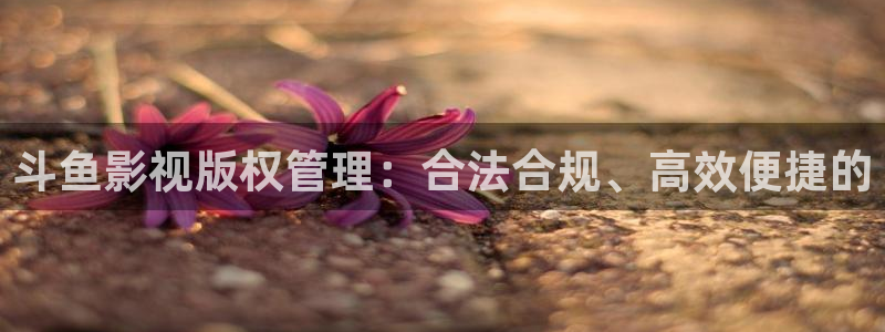 不卡中文视频在线